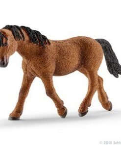 Bashkir Curly kobila