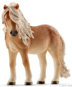 Islandski poni - kobila