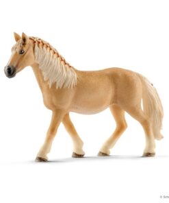 Haflinger kobila