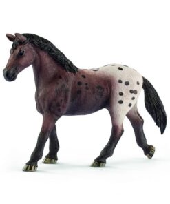 Appaloosa kobila