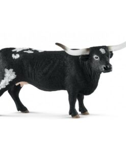 Texas Longhorn krava