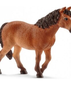 Dartmoor poni kobila