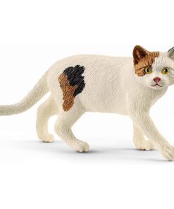 Americka macka, kratkodlaka