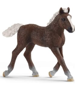 Zdrebe, Black forest