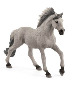 Sorraia mustang pastuv