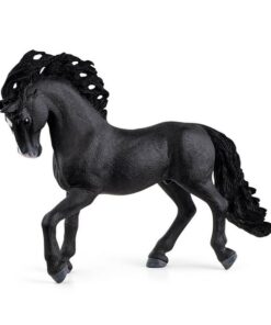 Pura Raza spanski pastuv