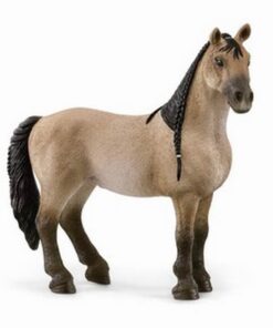 Criollo Definitivo kobila