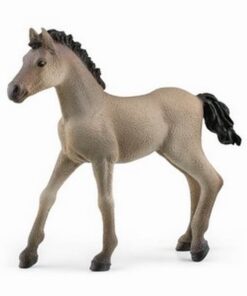 Criollo Definitivo zdrebe