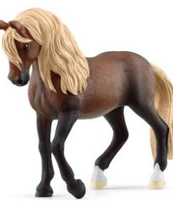 Pastuv Peruvian Paso