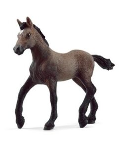 Zdrebe Peruvian Paso