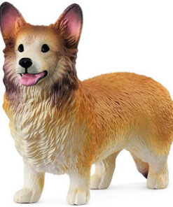 Pas Corgi