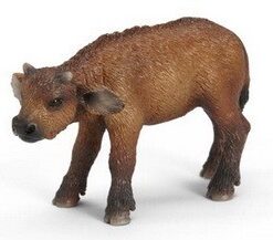 Tele africkog bizona