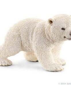 Polarni medved mladunče,šeta