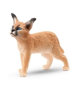 Divlja macka mladunce