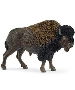 Bison