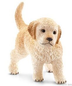 Zlatni retriver štene