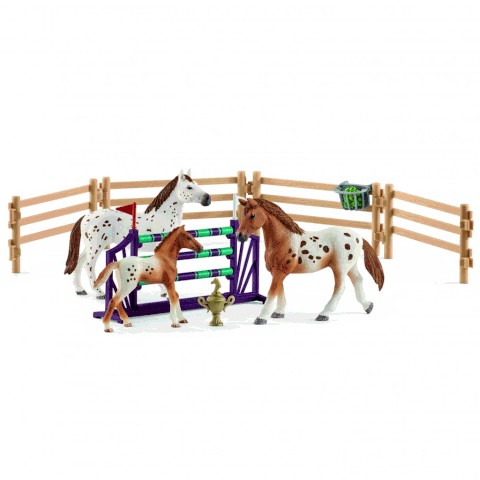 Turnirski trening konja