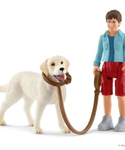 U šetnji sa labradorom