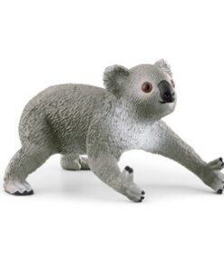 Koala, beba