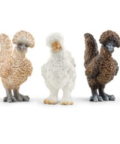 Kokoske, prijateljice