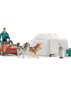 Antarctic ekspedicija