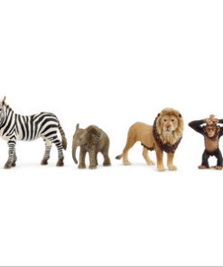 Wild life - Afrika starter set