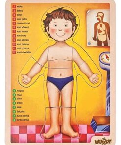Puzzle "human body"