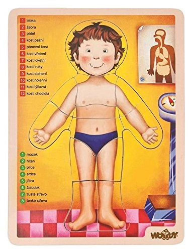 Puzzle "human body"