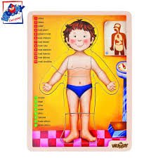 Puzle -ljudsko telo- enleska verzija