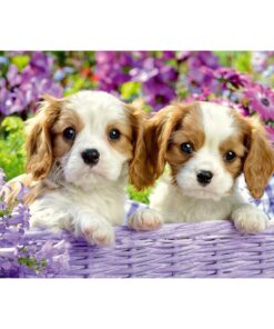 Alternative view of Ravensburger puzzle (slagalice) - Kucici