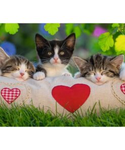 Alternative view of Ravensburger puzzle (slagalice)- Zaljubljene mace