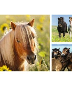 Alternative view of Ravensburger puzzle (slagalice) - Divlji konji