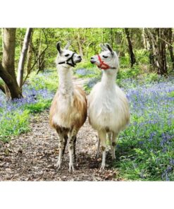 Alternative view of Ravensburger puzzle (slagalice) - Zaljubljene lame