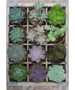 Alternative view of Ravensburger puzzle (slagalice) - Zelenilo