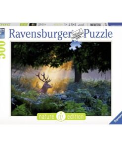 Ravensburger puzzle (slagalice) - Magicna scena
