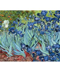 Alternative view of Ravensburger puzzle (slagalice)- Van Gog "Irisi"