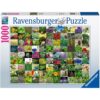 Ravensburger puzzle (slagalice) - 99 biljaka I zacina