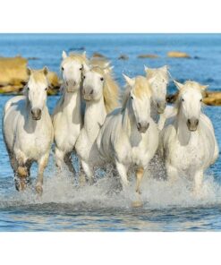 Alternative view of Ravensburger puzzle (slagalice)-Belo konji u galopu