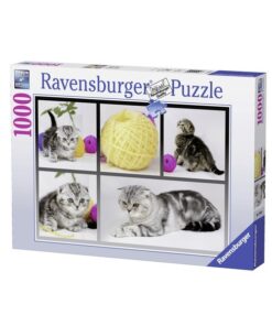 Ravensburger puzzle (slagalice) - Znatizeljni macici